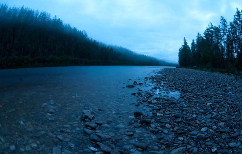 утро, река ток, рассвет, тайга, август, зея, бомнак Предрассветное утро фото превью
