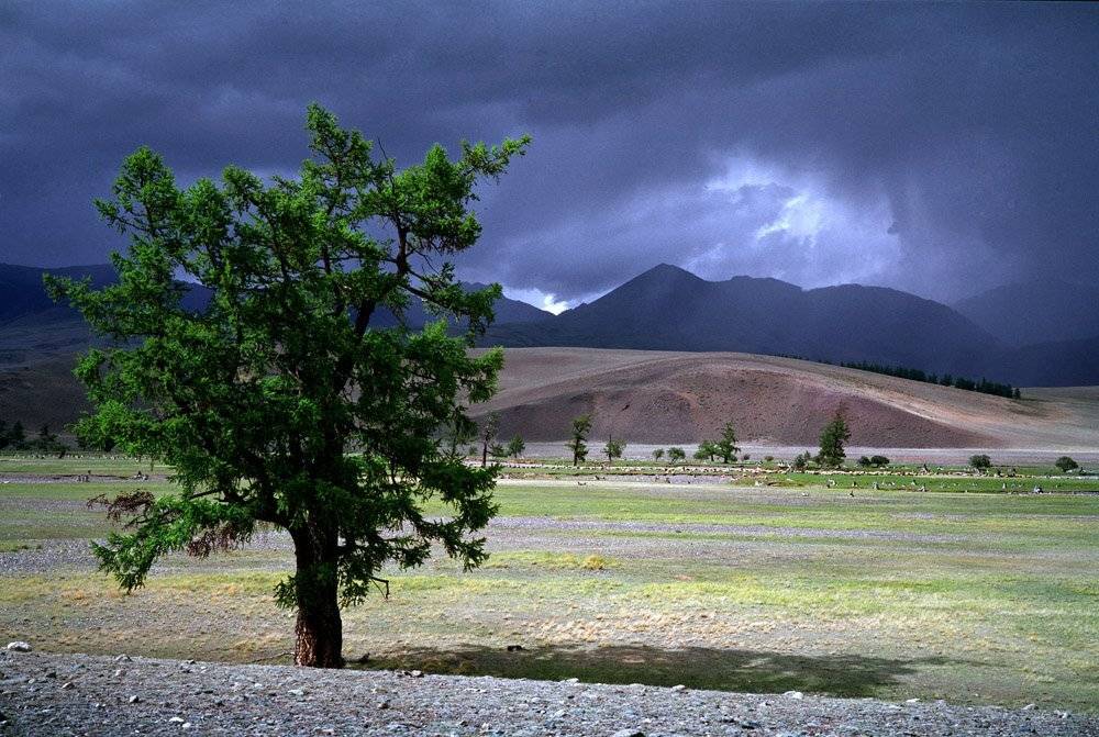 , Павел Мартюшев