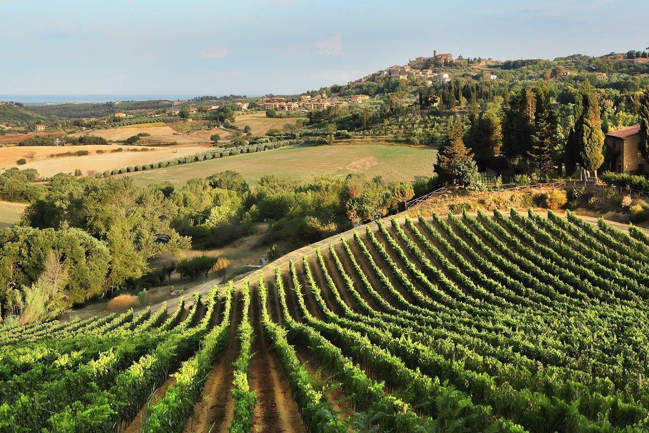 италия, тоскана, Игорь Дубровский