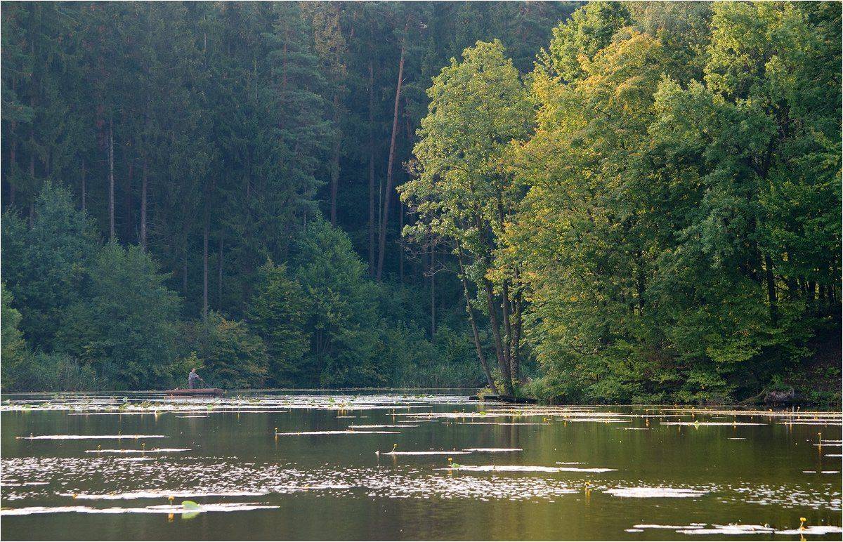 , Николай Шахманцир