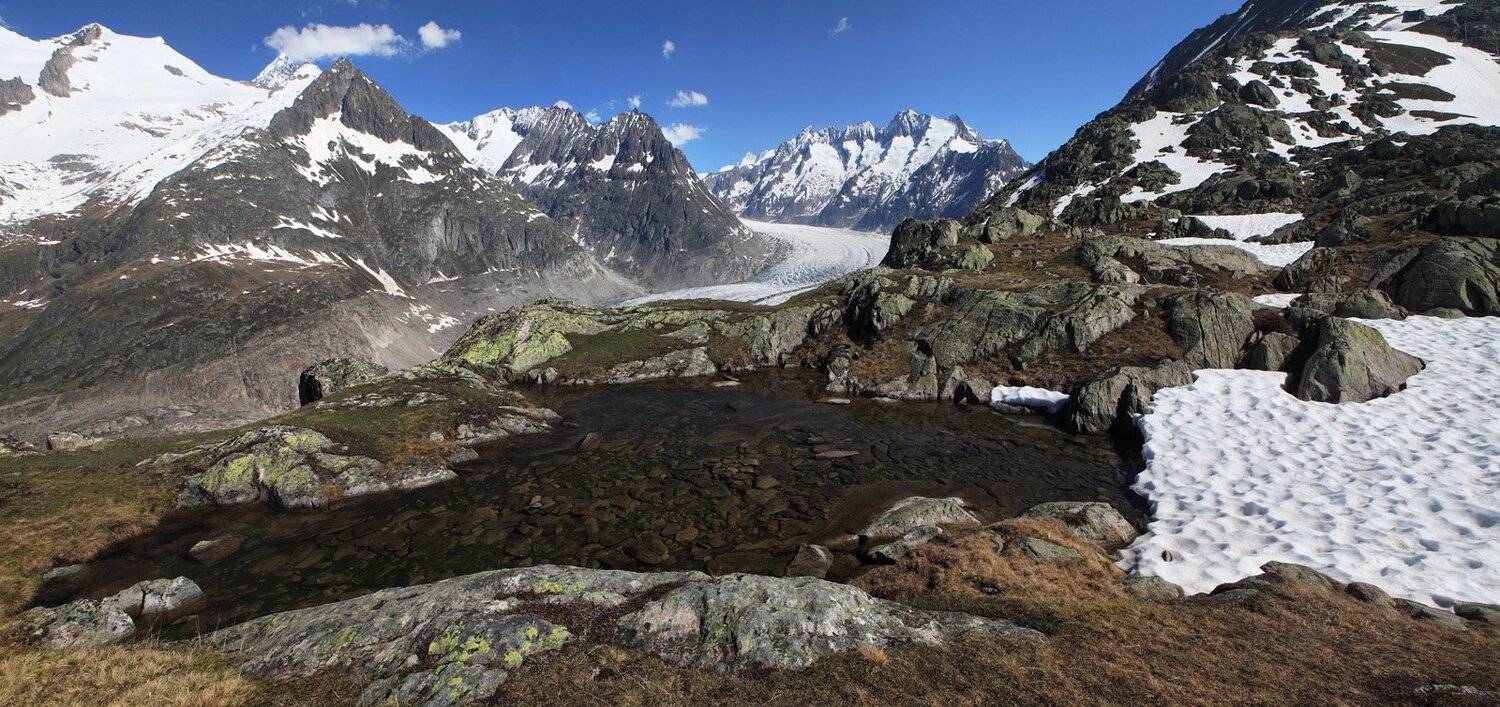 swiss,bettmeralp, Матвеев Николай