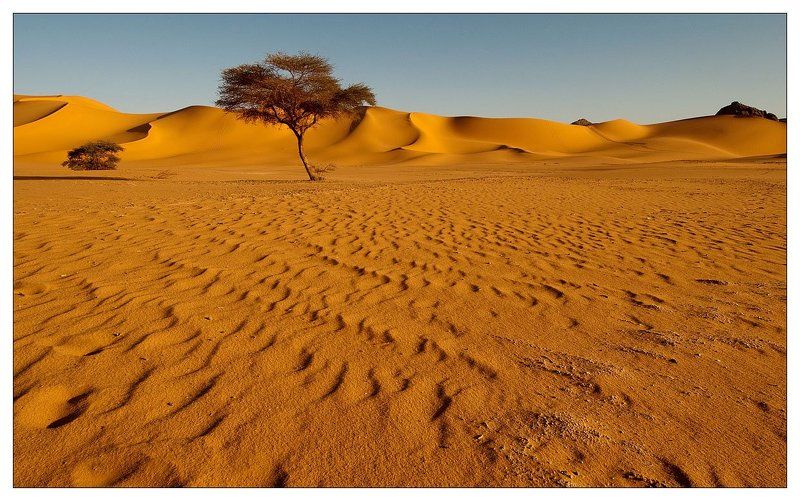 алжир, сахара, песок Тhe memories of future... фото превью
