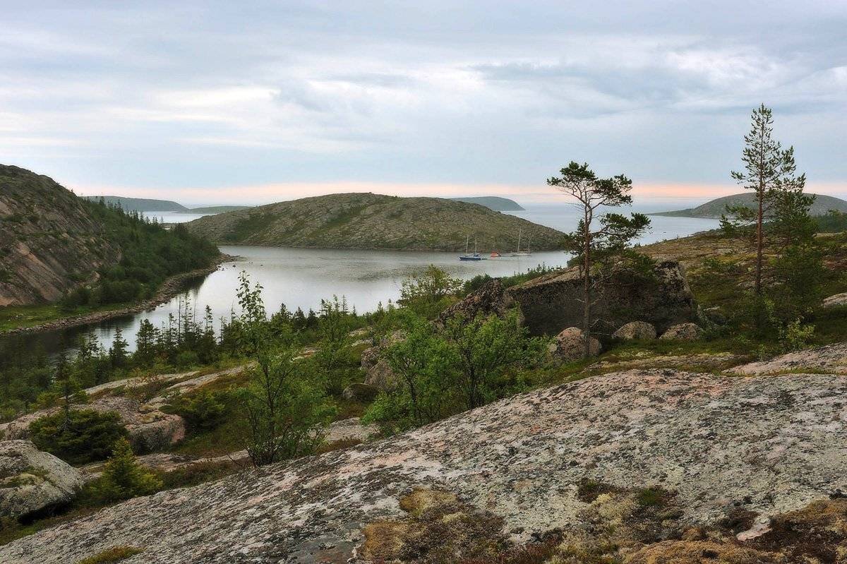 Немецкий кузов. Автор: Сергей Седов , Сергей Седов