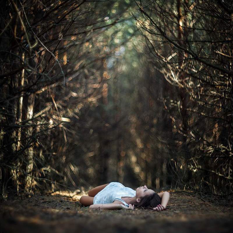 в объятиях леса фото превью