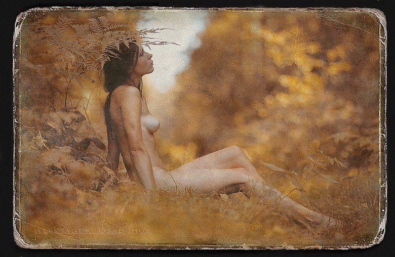...,,, фото превью