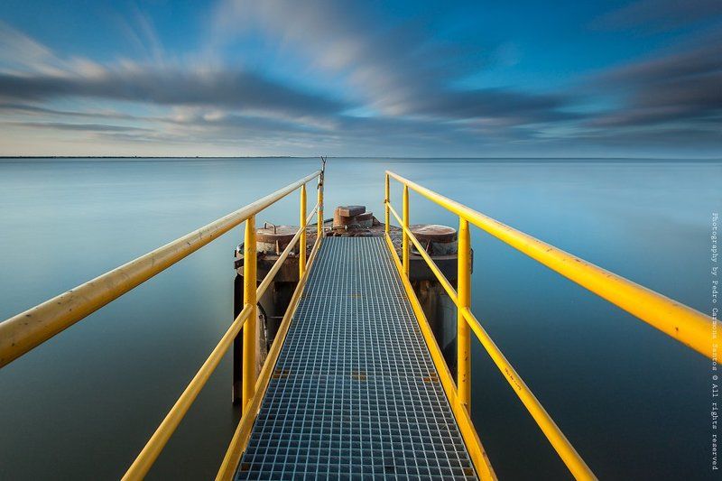 blue vs yellow фото превью