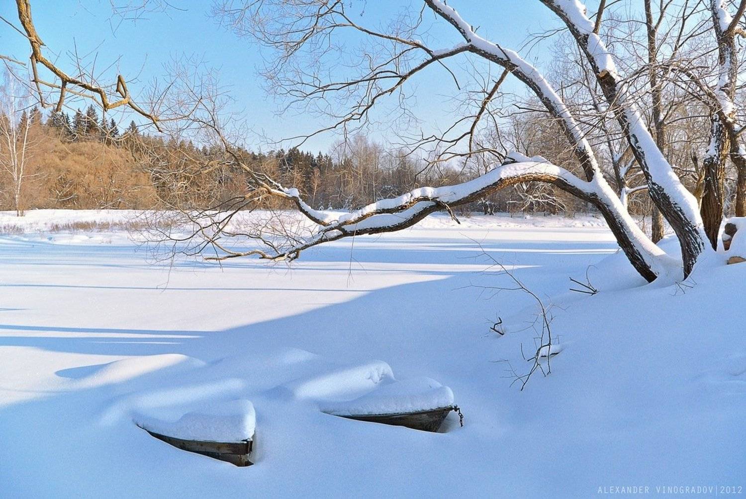 , Александр Виноградов