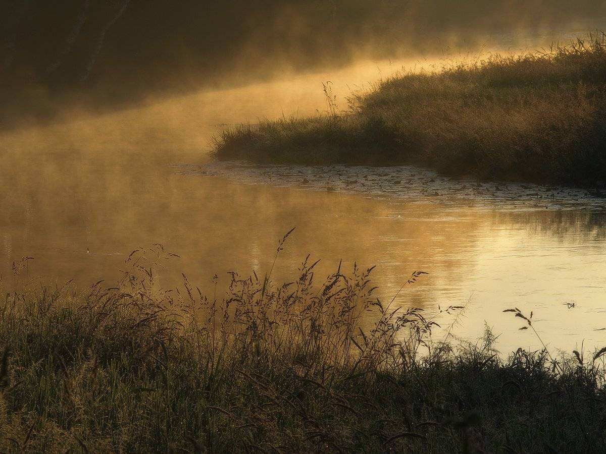 , Владимир Перепечаев