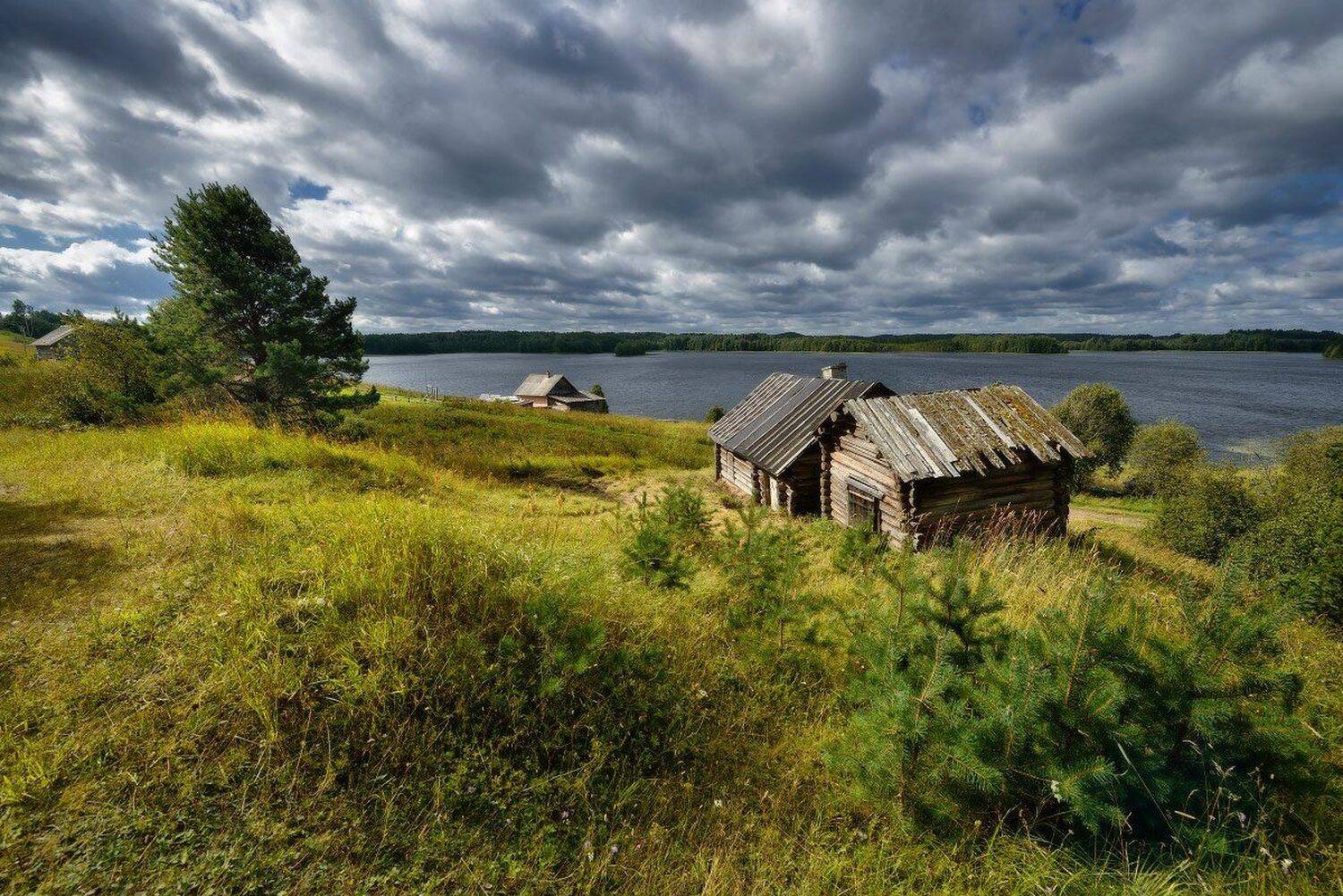 , Максим Евдокимов