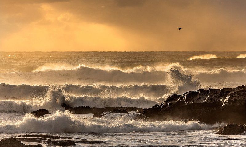 Десять песен о волнах, набегающих на берег... (с) Динара фото превью