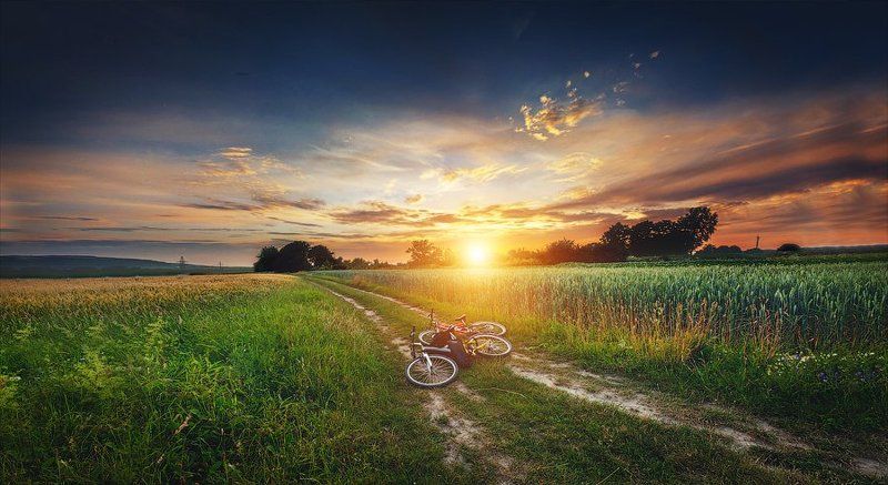 По дороге домой фото превью