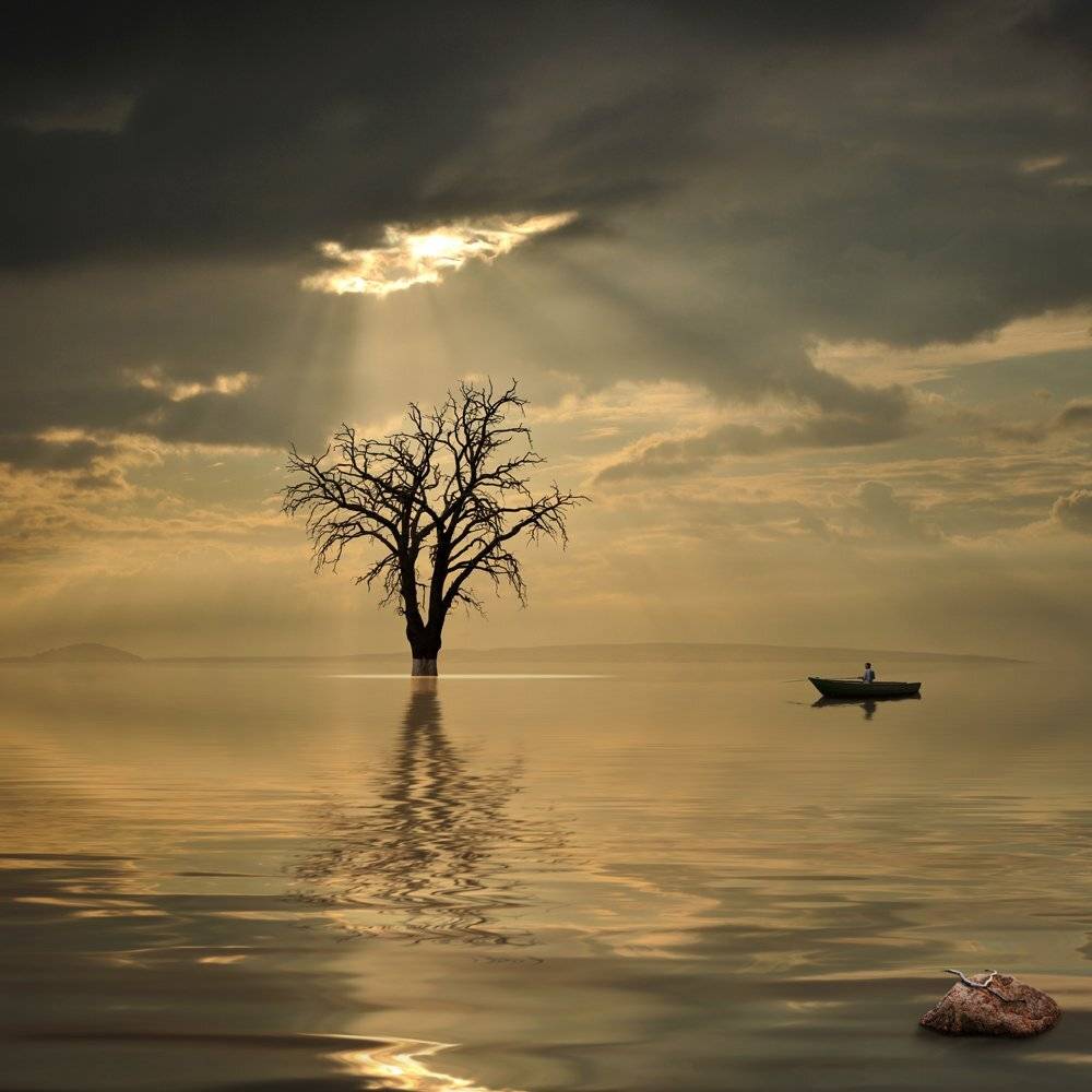 , Caras Ionut