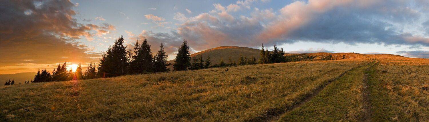 карпаты, горы, вечер, дорога, елки, осень, закат, Любомир Тригубишин