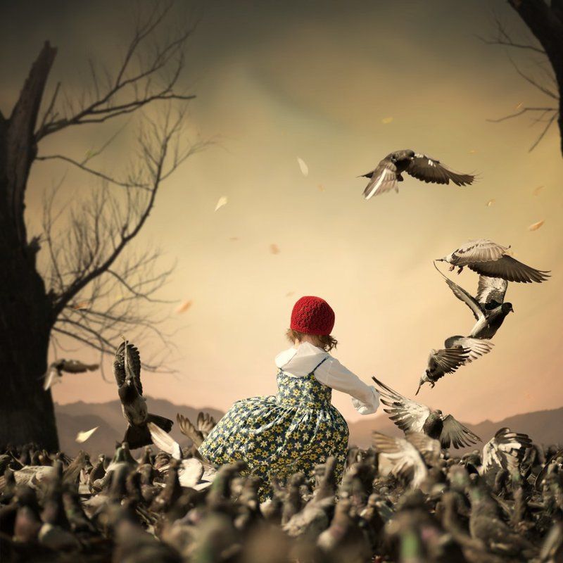 The pigeon storm фото превью
