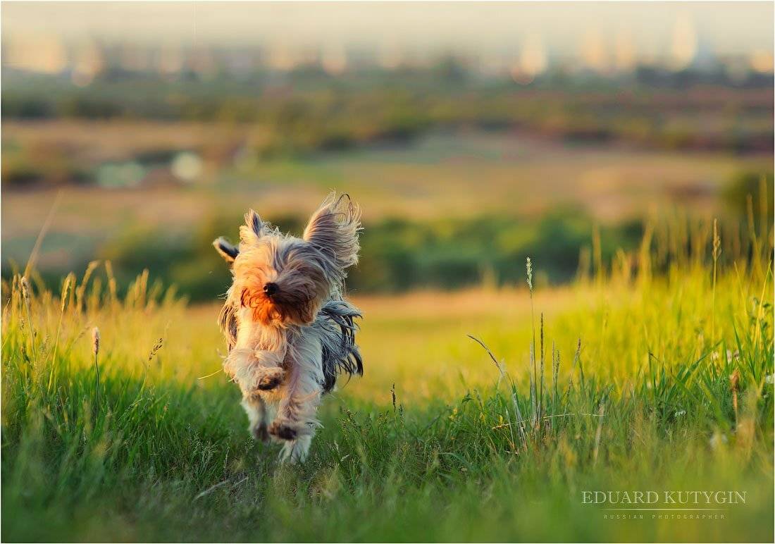 , Кутыгин Эдуард