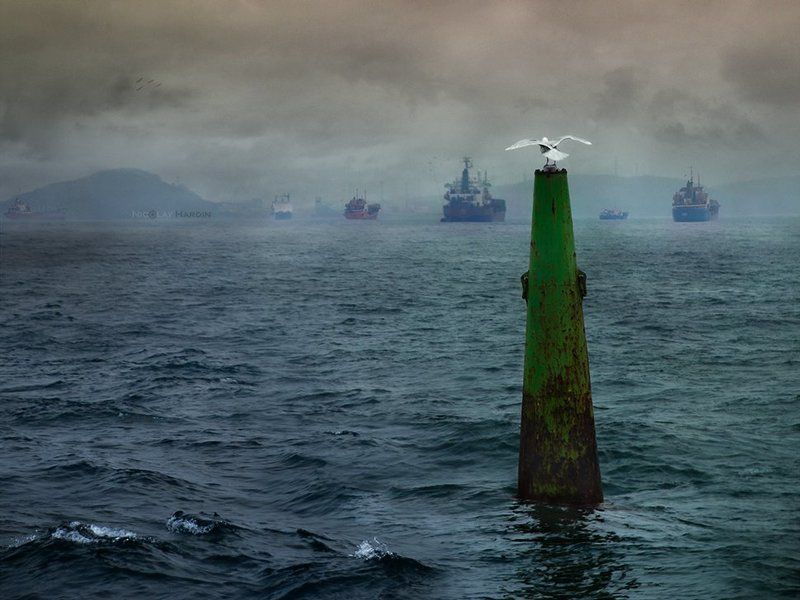 японское, , , море, , , корабли, , , буй, чайка Difficult choice фото превью