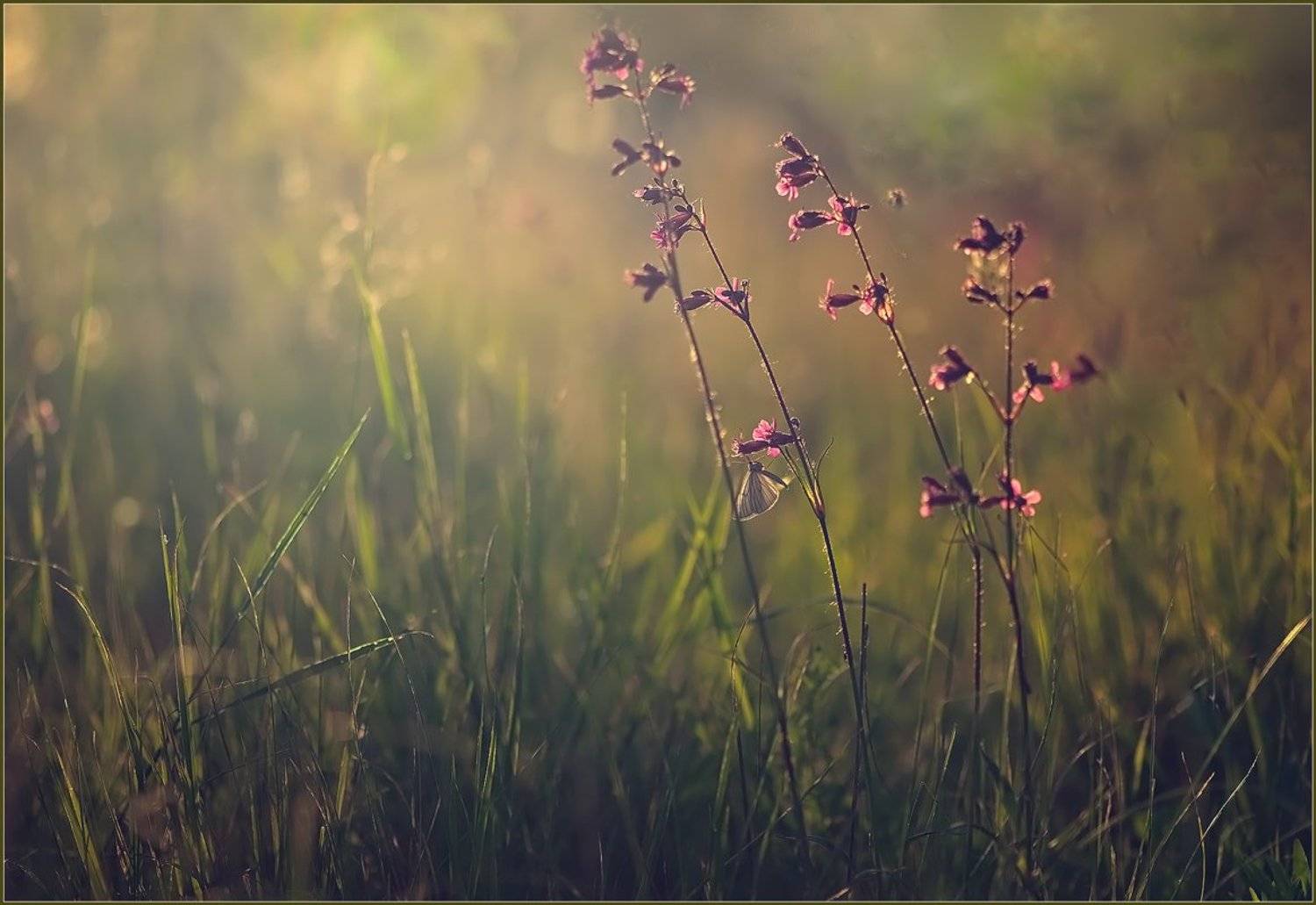 , Евгений Кирилкин.