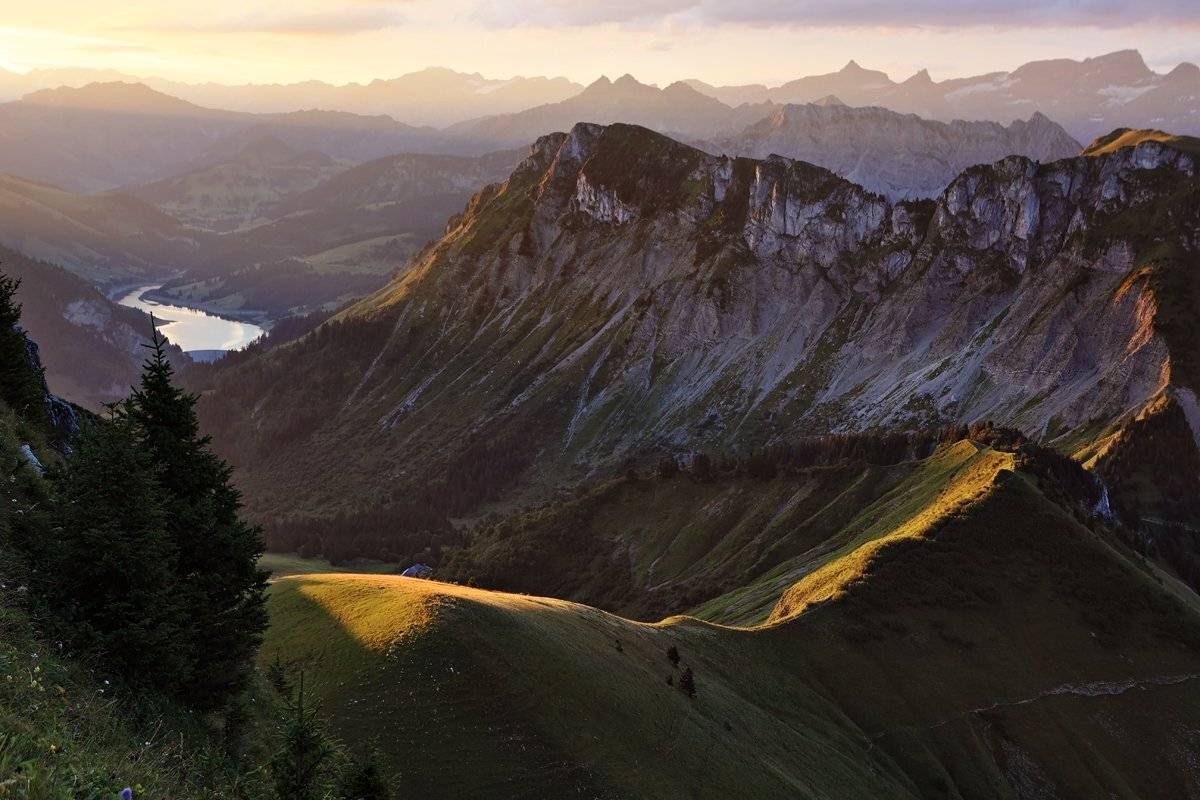 swiss, Матвеев Николай