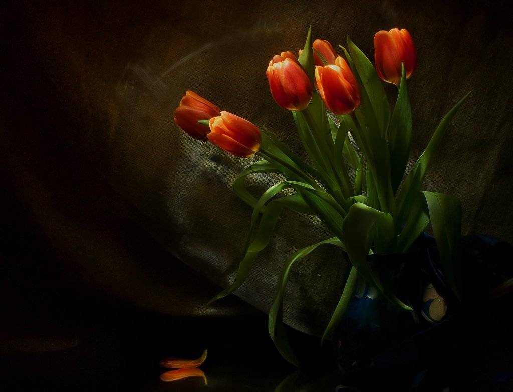 , Лев Сердюков