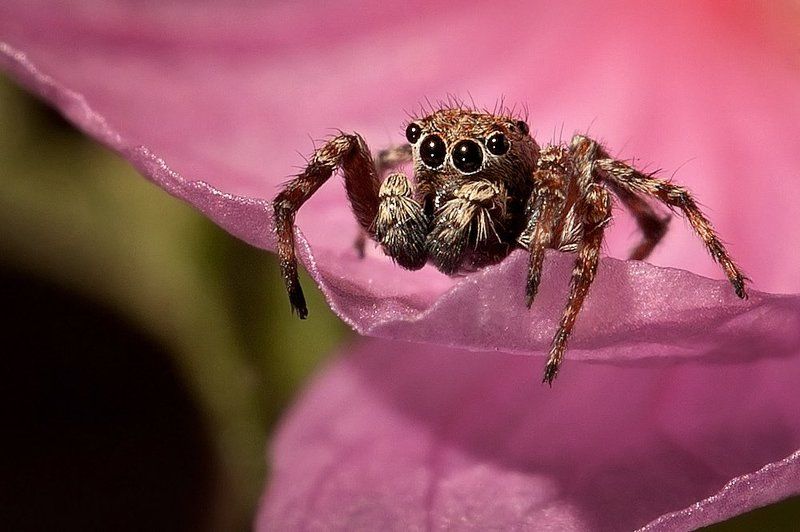 Cutie фото превью