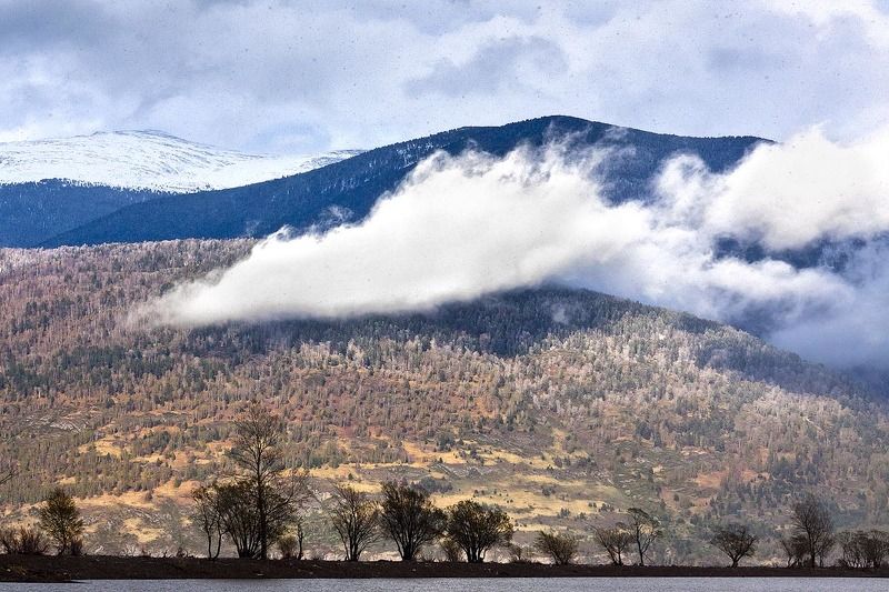 горы,алтай,облака Нежно укрывая... фото превью