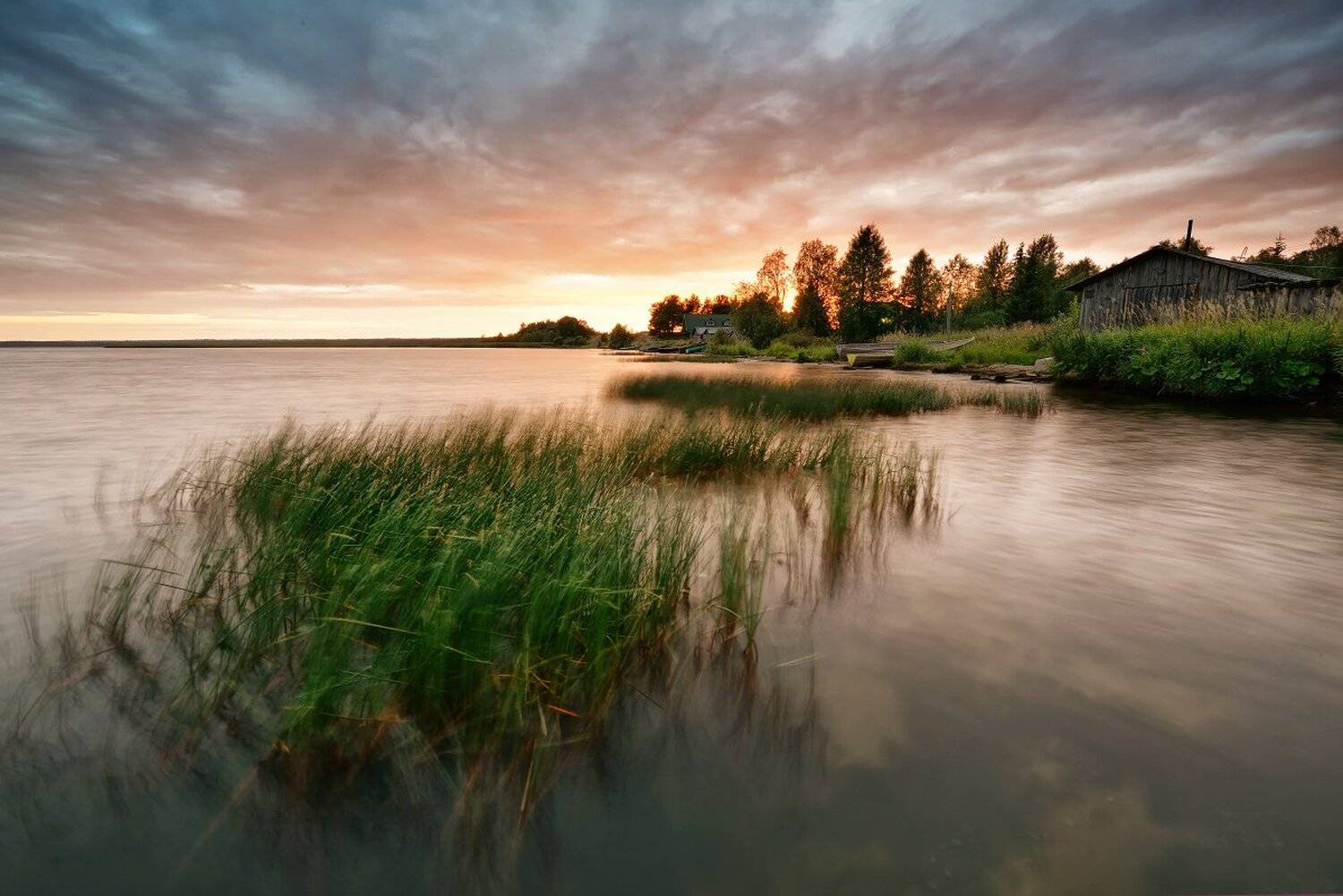 , Максим Евдокимов