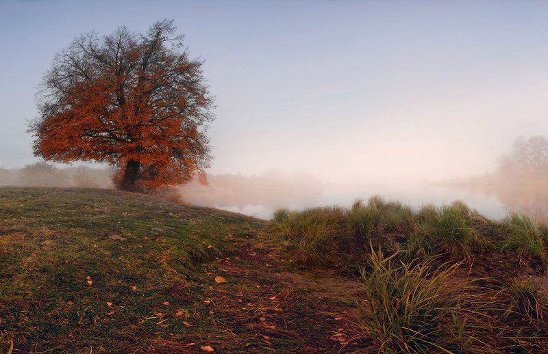 Скоро осень... фото превью