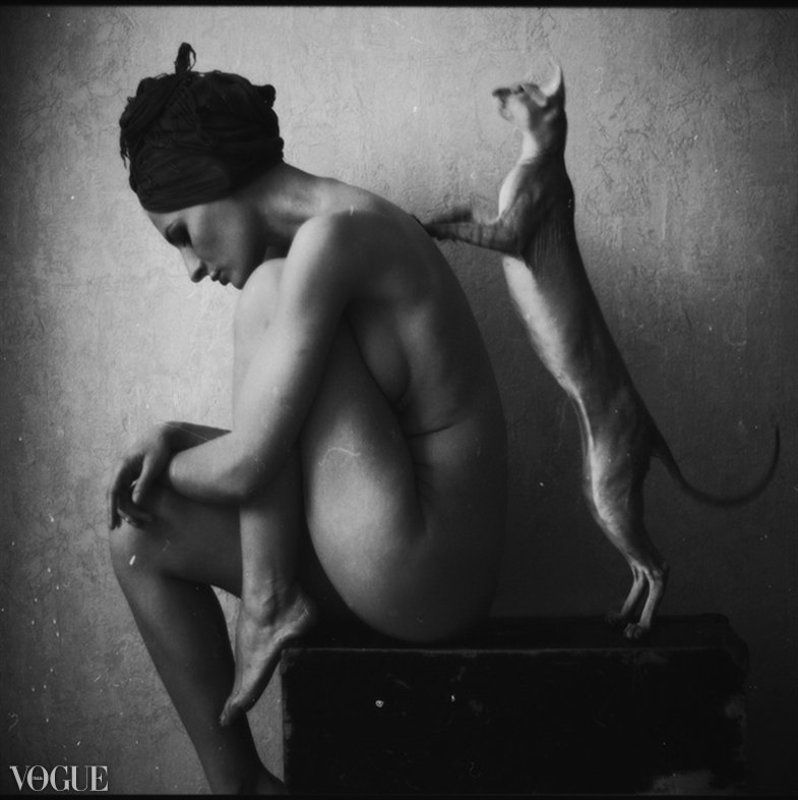 damian, hovhannisyan * фото превью