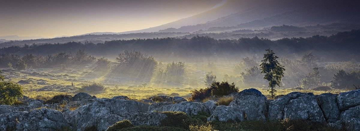 утро, рассвет, чатыр-даг, крым, Виталий Башкатов