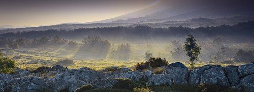 Сказочное утро Чатыр-Дага