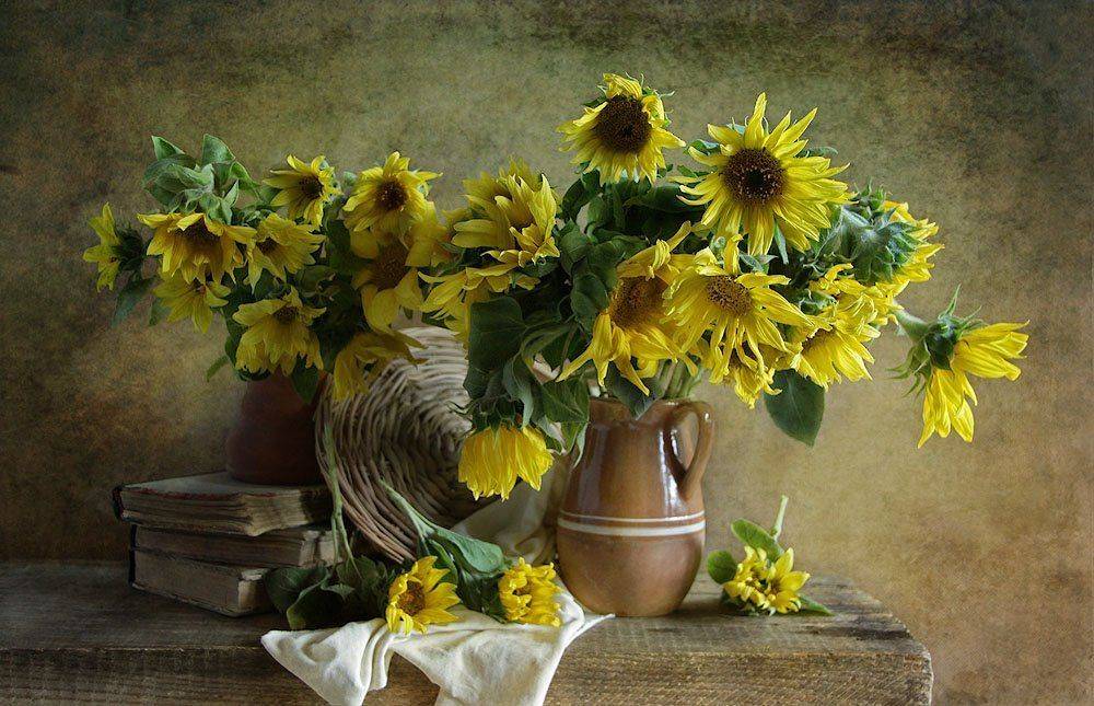 цветы, натюрморт, Svetlana Ра