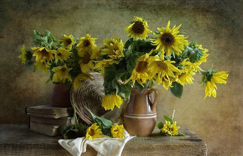Sunny фото превью