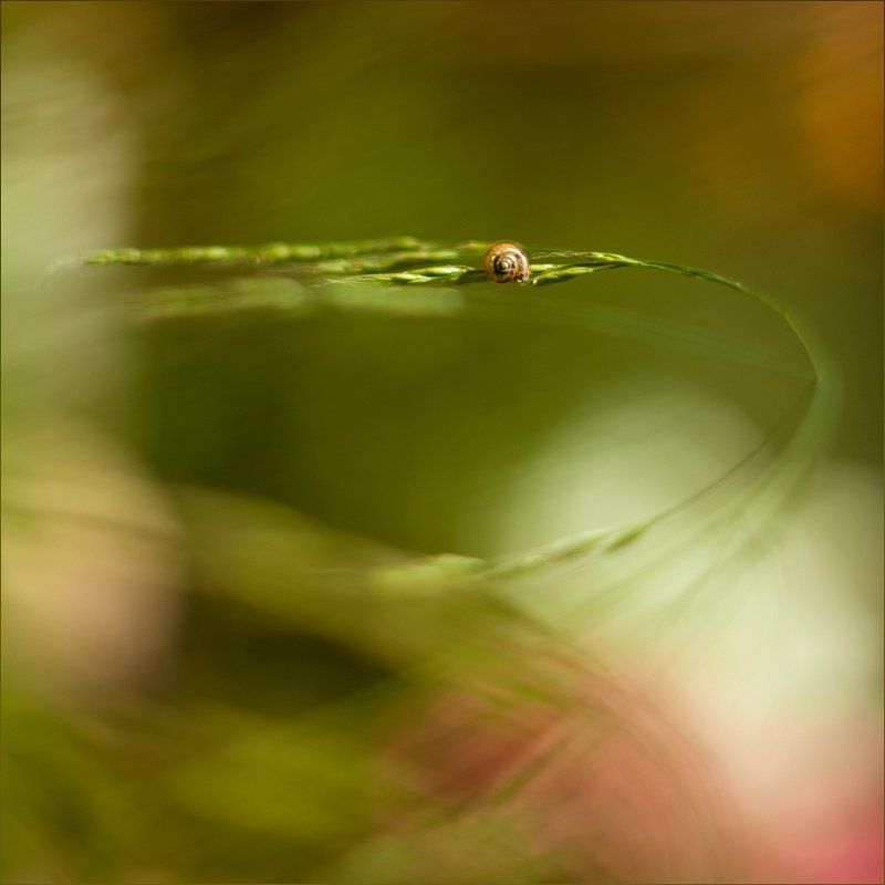 . фото превью