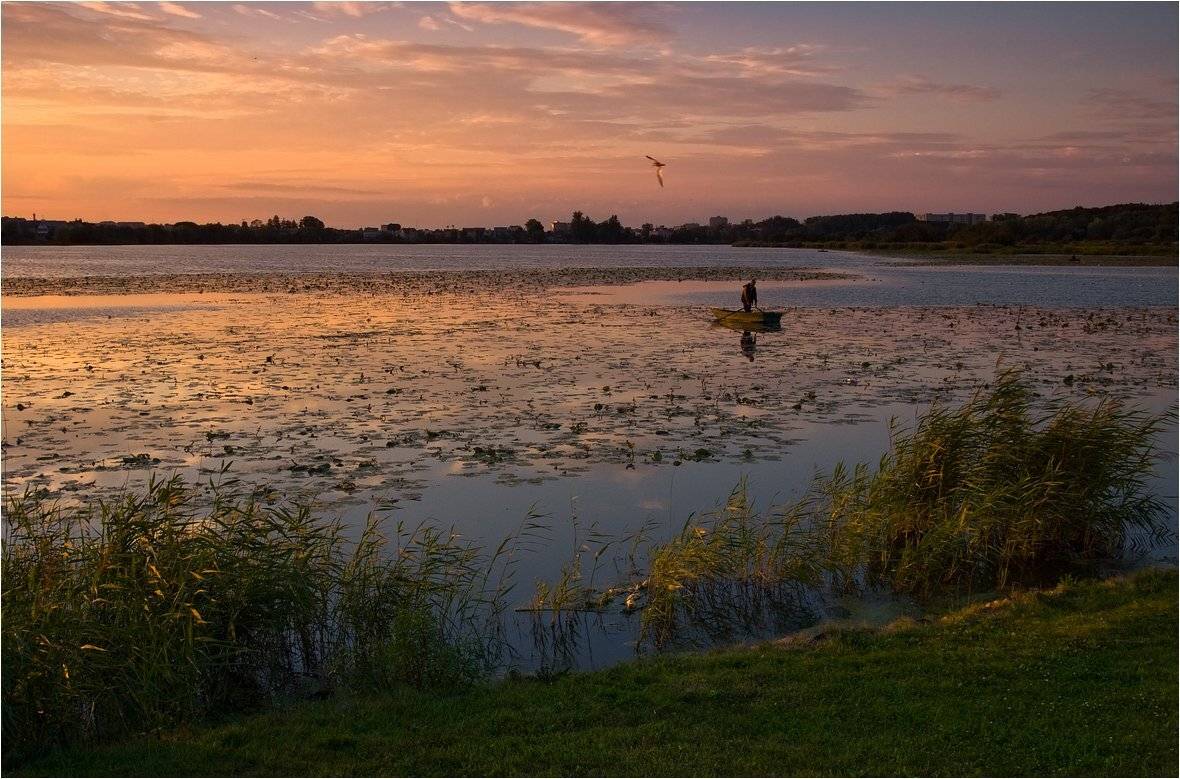 , Николай Шахманцир