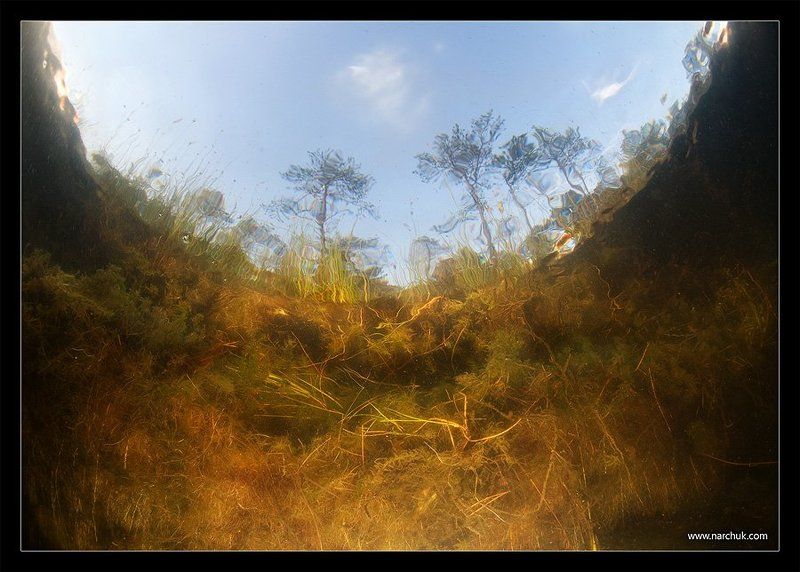 Зазеркалье фото превью