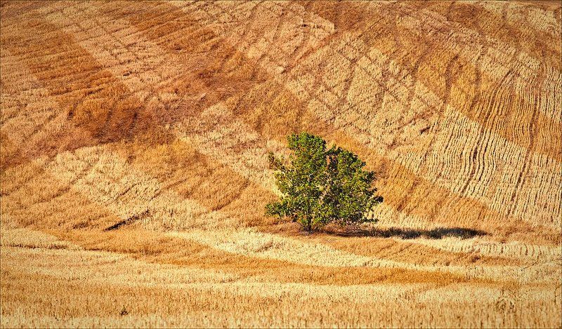 Summer patterns фото превью