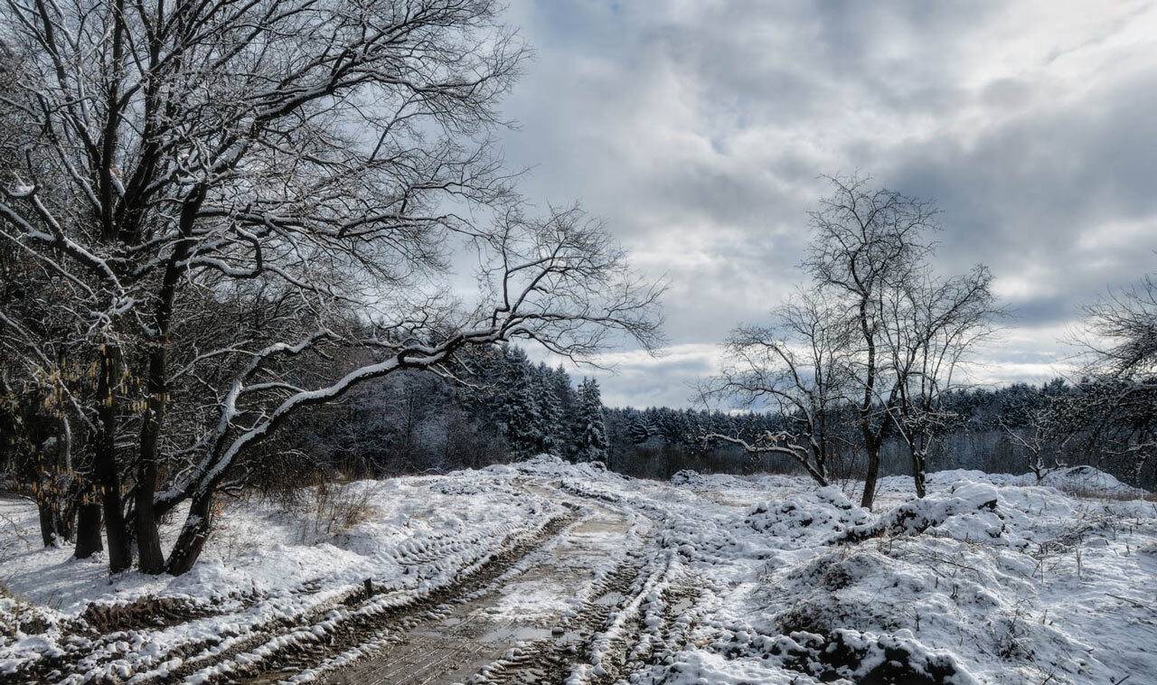 а, наутро, выпал, снег..., Сергей Харитон