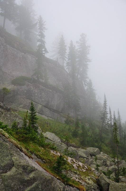 , Михаил Зверев