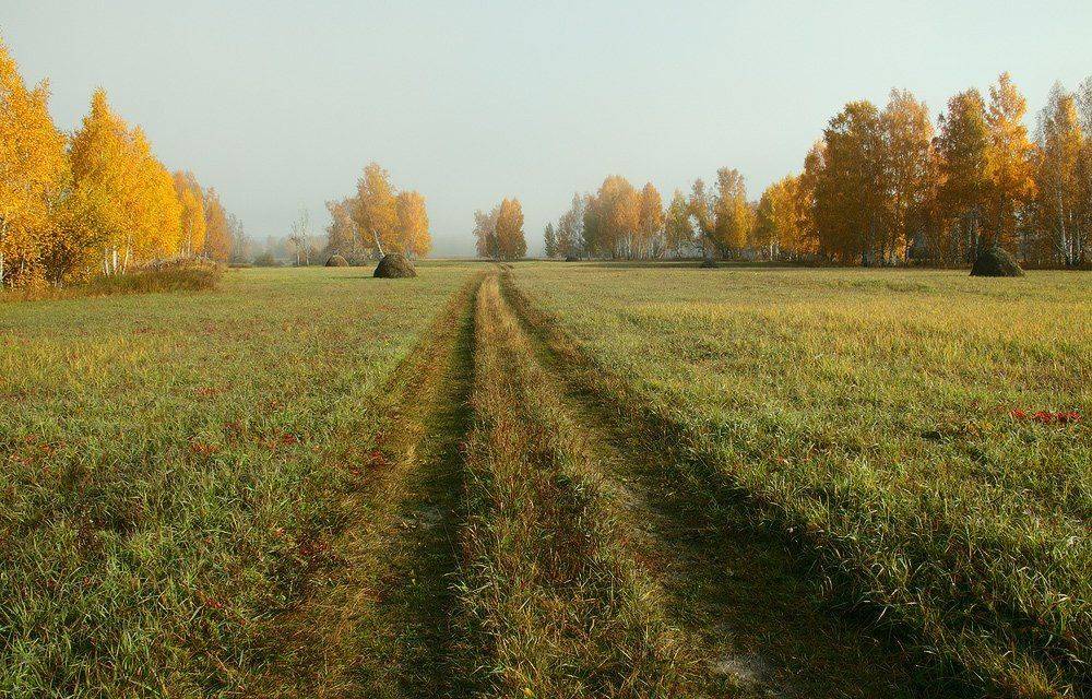 , Николай Морский