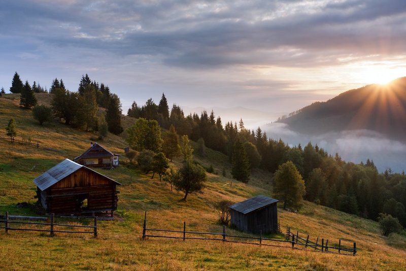 Солнце взошло фото превью