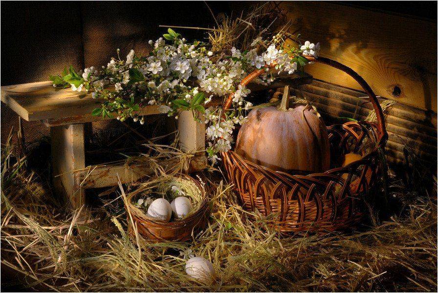 , Щербина Игорь