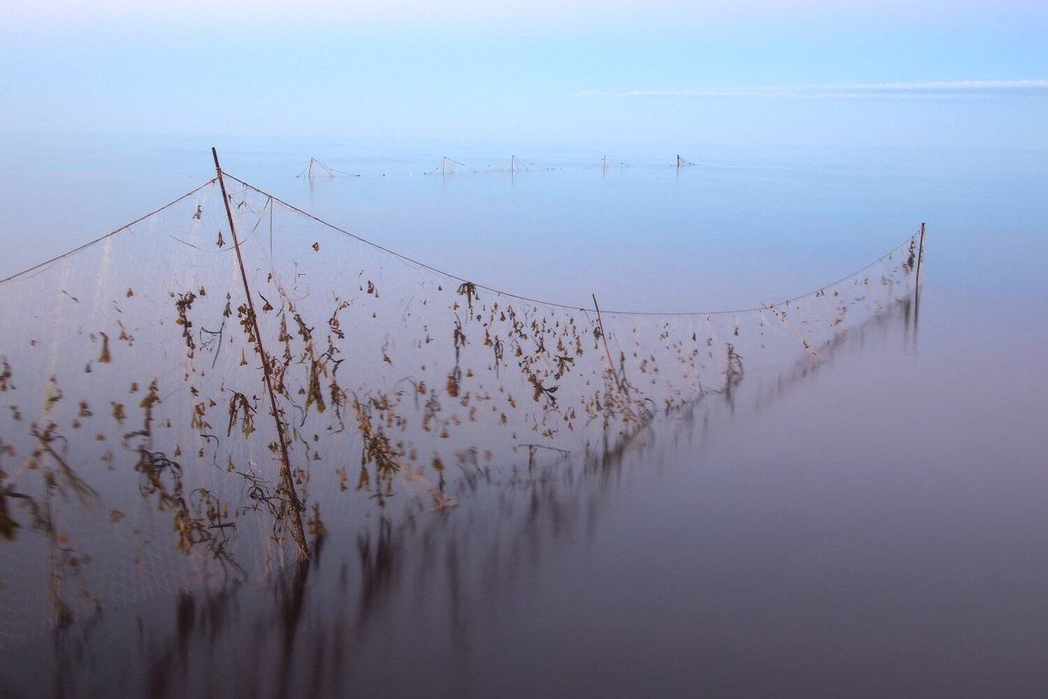 , Максим Евдокимов