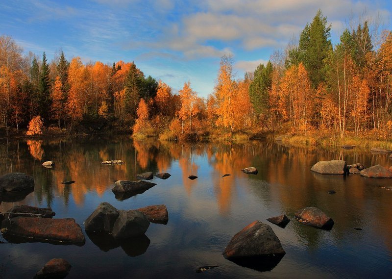 Осень фото превью