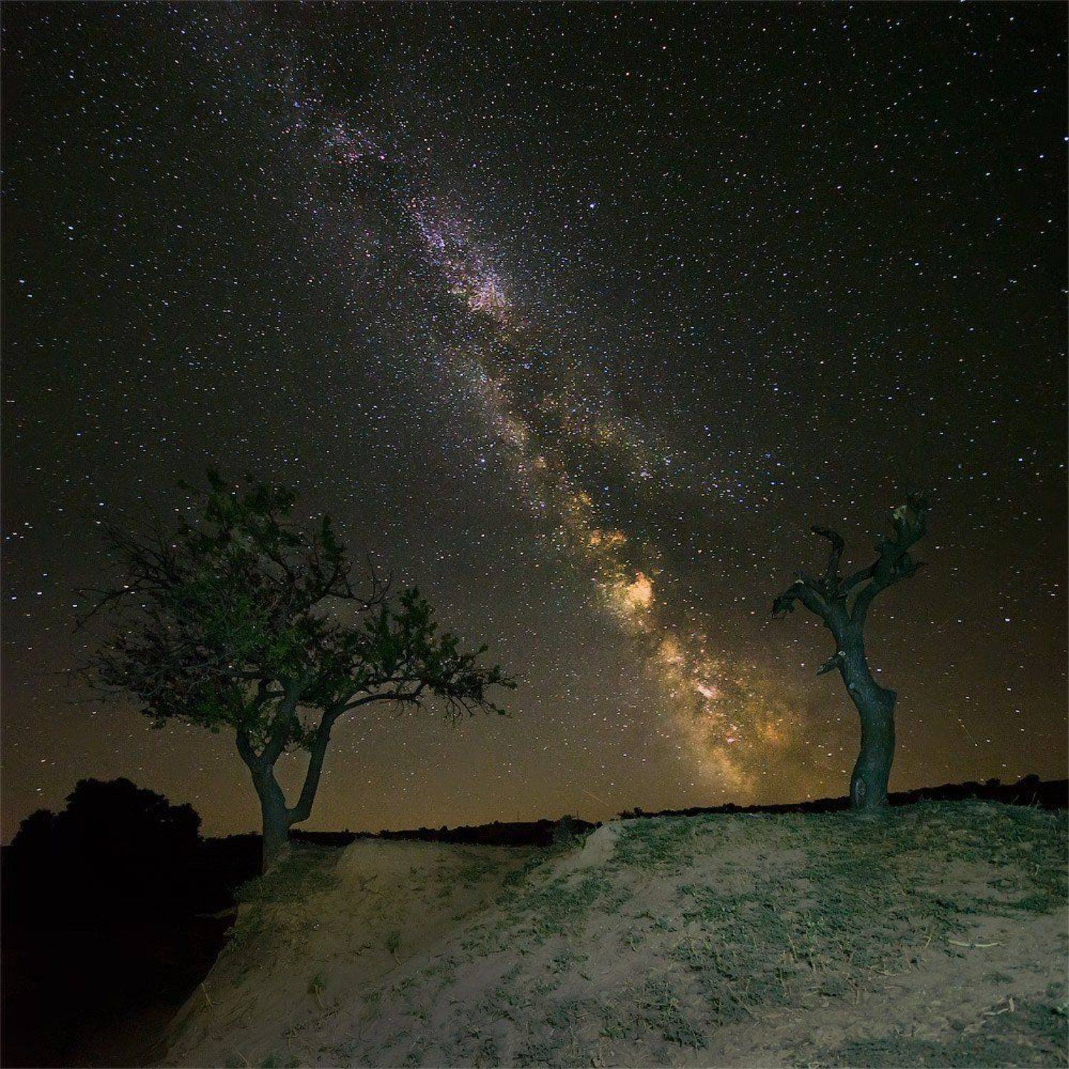 , Величко Владимир