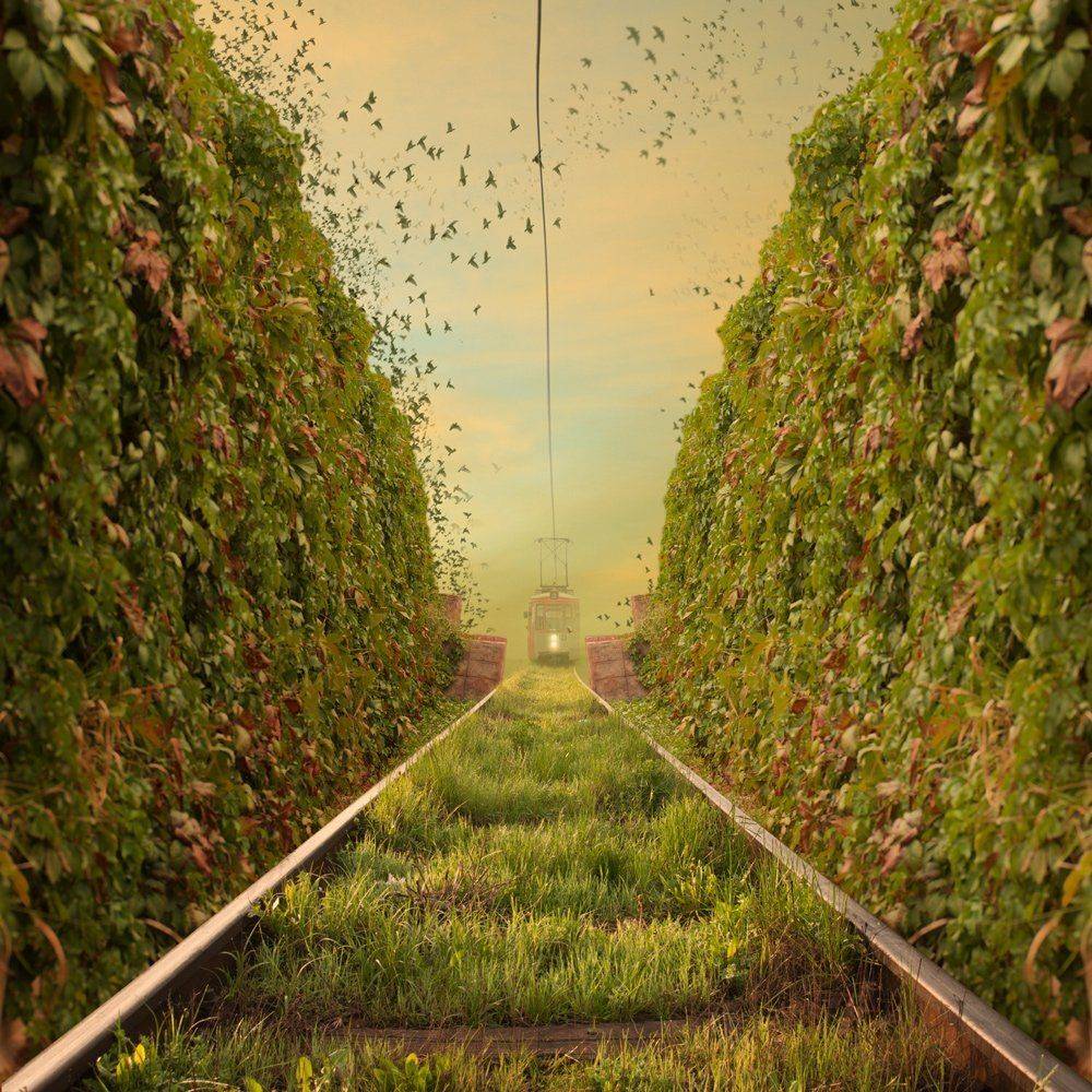 , Caras Ionut