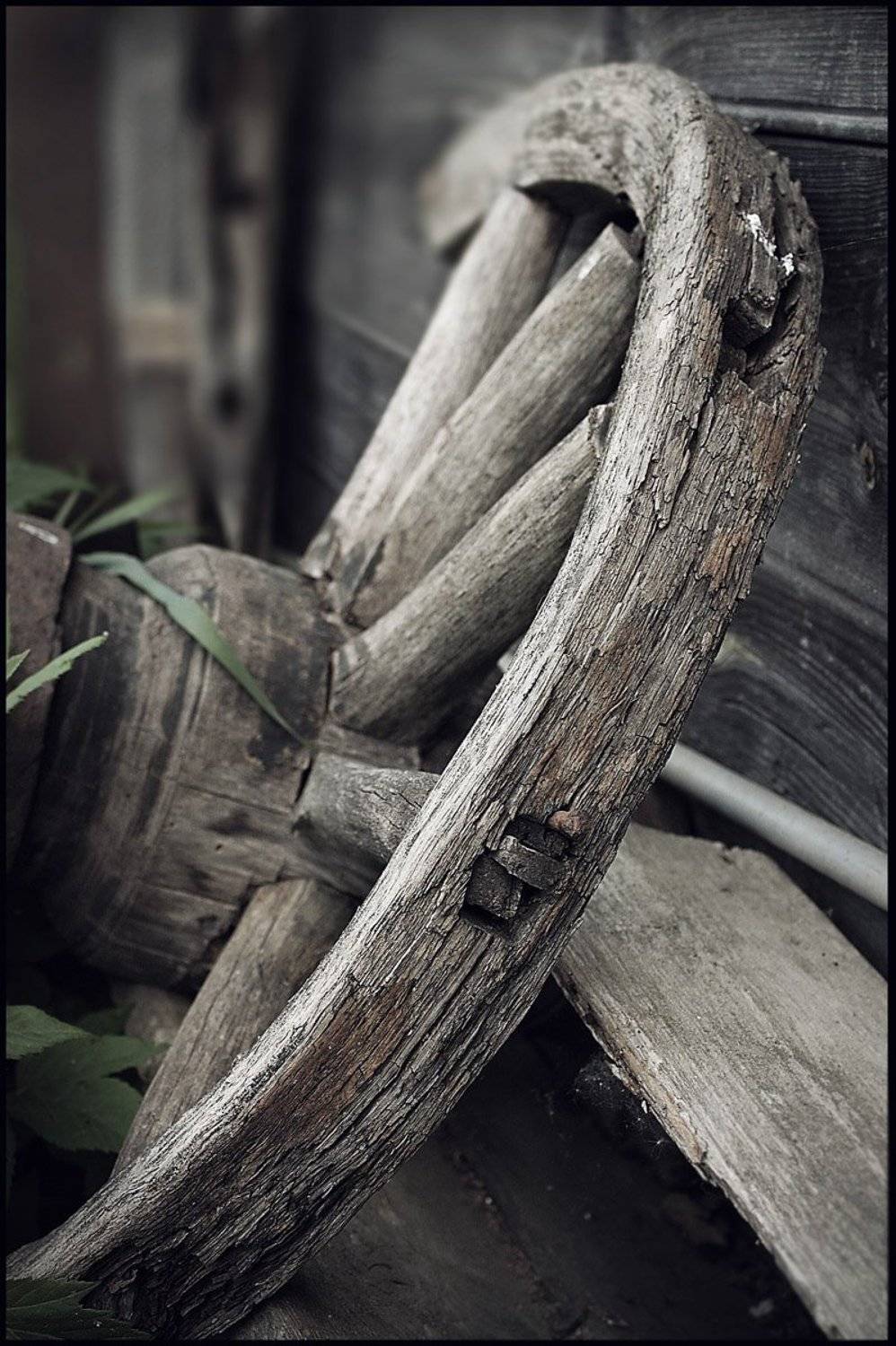 колесо, 17, век, светлана голицына