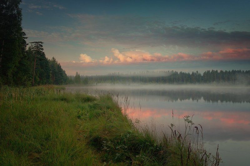 утро, озеро, туман Утро в розовых облаках фото превью