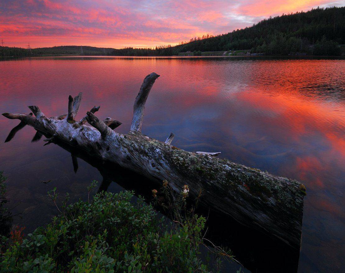 север, зеленоборский, Roman Goryachiy