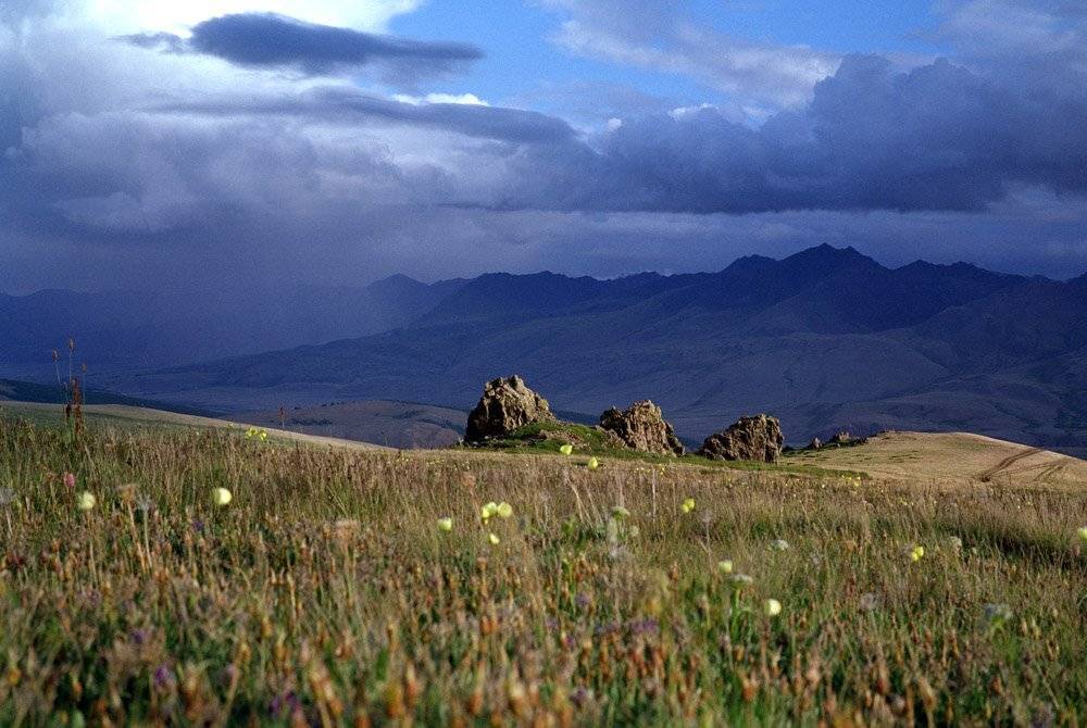 , Павел Мартюшев