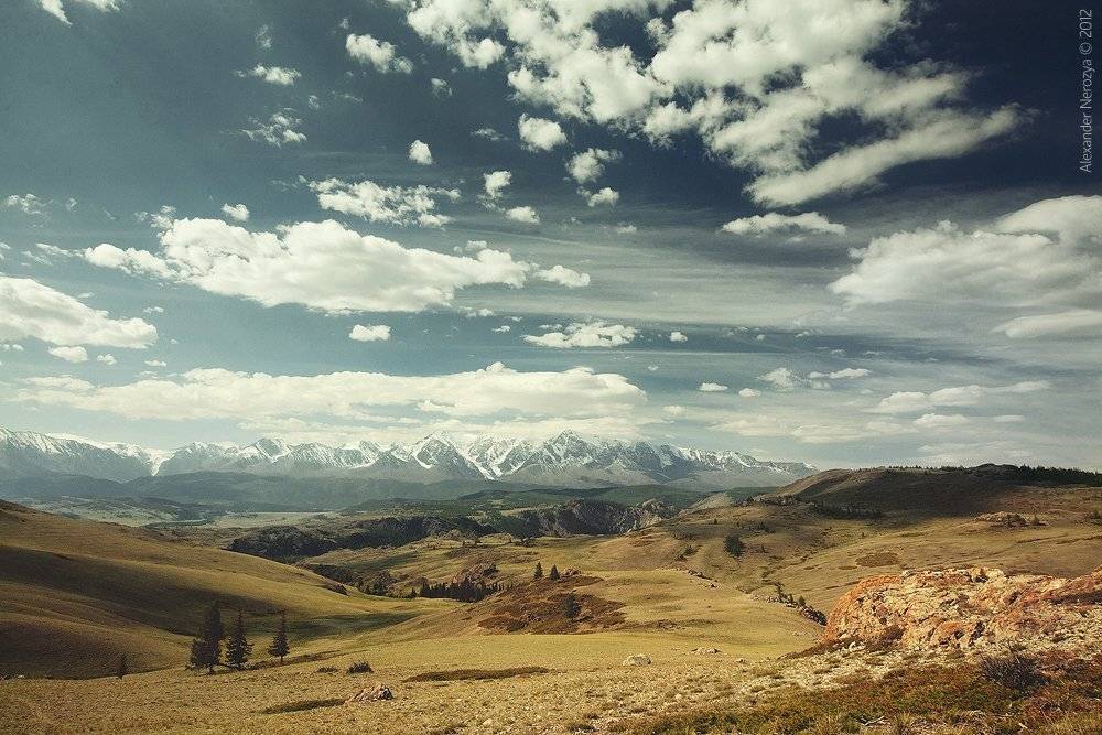 алтай, , , сибирь, , , россия, , , северо-чуйский, , , хребет, , , горы, , , ледники, , , степь, , , красота, , , простор, , , лиственницы, , , нерозя, Horimono